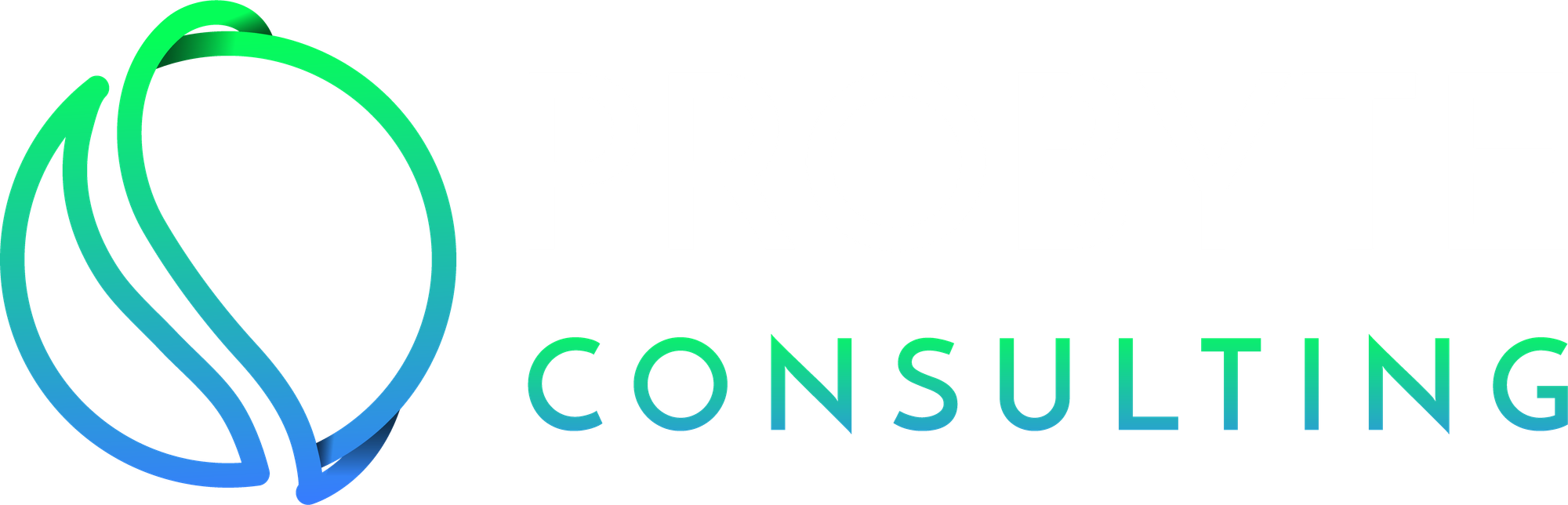 Probyte Consulting